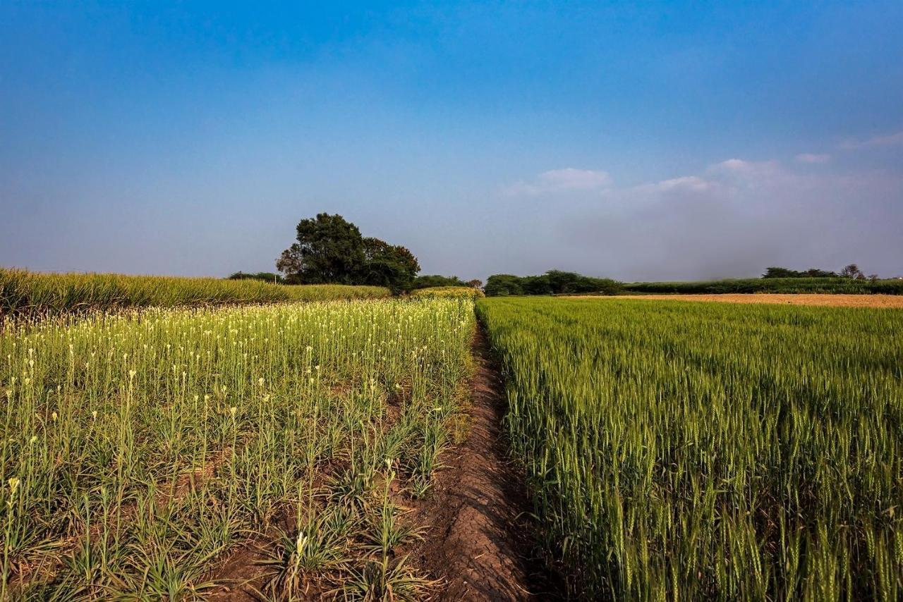 Saffronstays Happy Fields, Pune - Luxury Farmstay With Farm To Table Food المظهر الخارجي الصورة